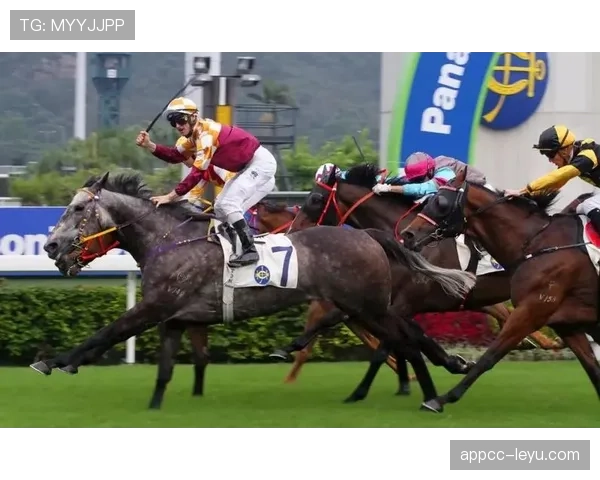 索里亚门神再显神勇，关键扑救助球队稳守胜局