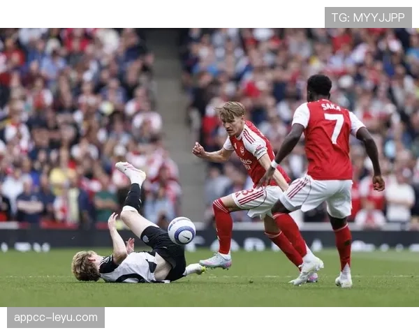 英超球迷忠诚度持续升温，激情助威彰显足球团结力量