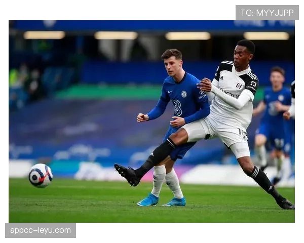 布伦特福德近期表现稳健,英超赛场展现强劲竞争力