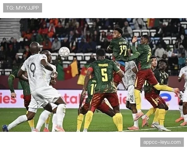 突尼斯冲击2026世界杯：北非劲旅能否突围预选赛